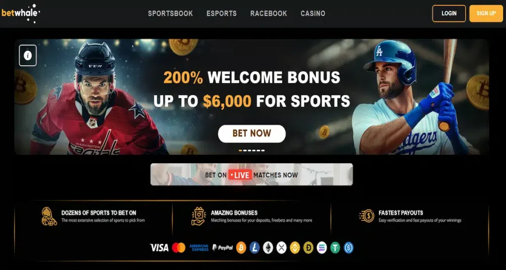 Betwhale online casino homepage – leading real money Florida Online Casinos style site for fast payouts.